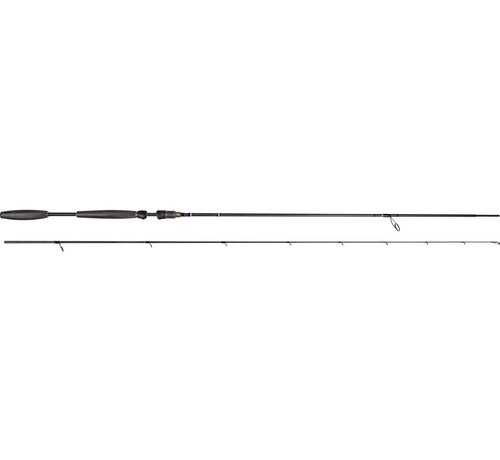 Westin W10 SPIN 10'2"/305CM MH 10-34G 2SEC W10 OCTAGON TUBE