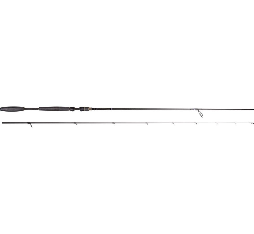 W10 SPIN 10'2"/305CM MH 10-34G 2SEC W10 OCTAGON TUBE