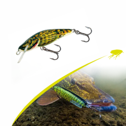 Schwimmköder