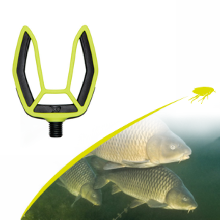 Rutenauflagen Karpfer