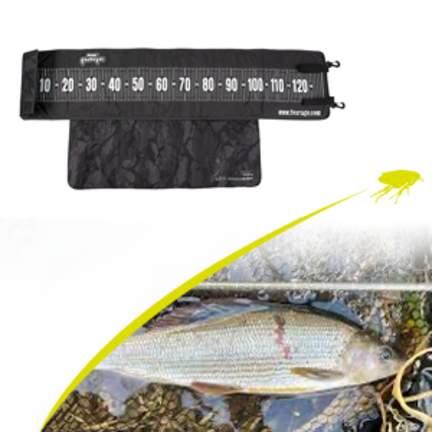 Fisch Massbander