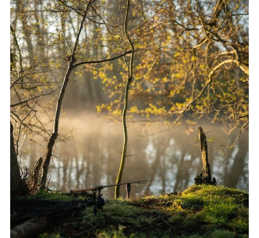 Scope Cork 10ft 3lb