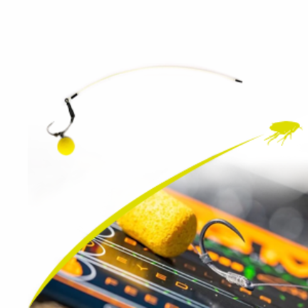 Karpfer rigs