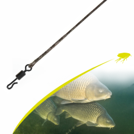 Leader Karpfer