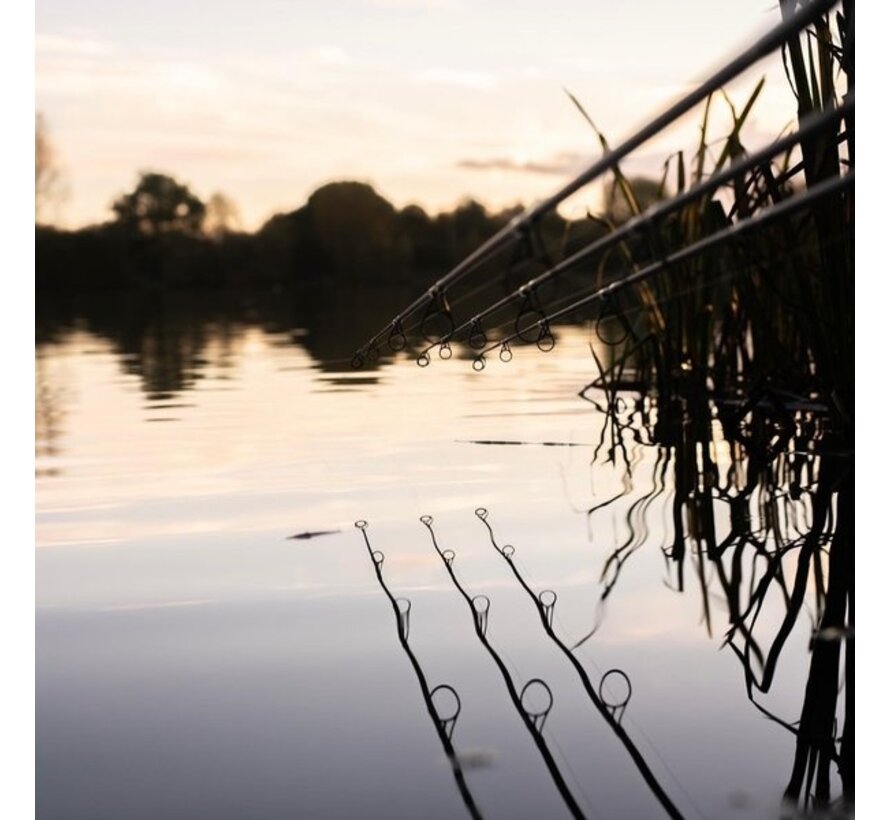 X Series Rod 10ft 3lb