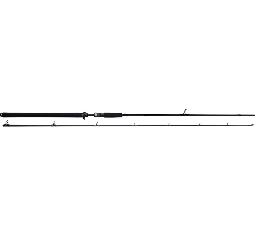 W3 Powershad-T 2ND 8'3"/248CM XXH 40-130G 2SEC