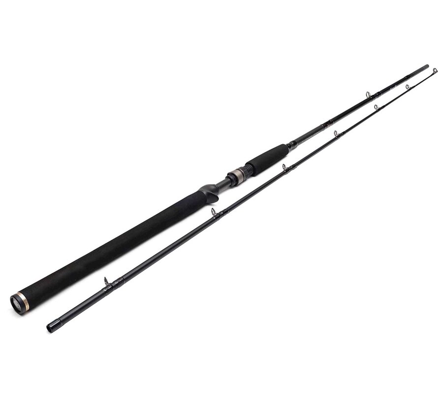 W3 Jerkbait-T 2ND 6'6"/195CM H 20-80G 2SEC