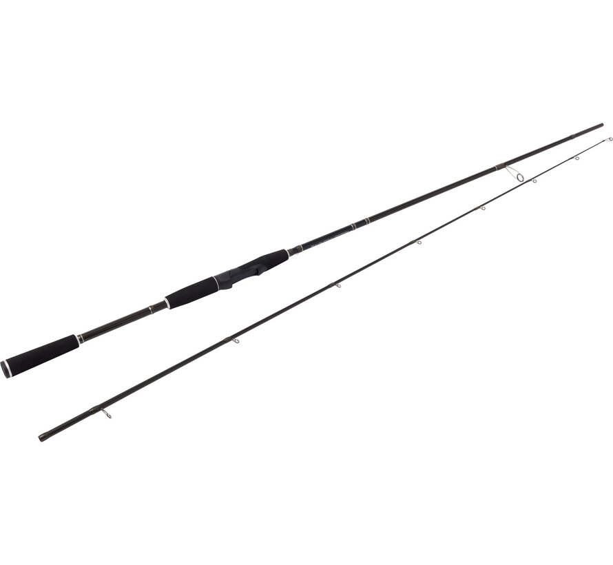 W2 Finesse Shad 8'3"/248CM H 12-38G 2SEC