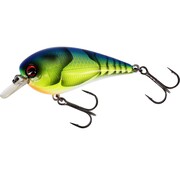 Westin Bassbite 1.5 Squarebill 6CM 13G Floating 2 3/8" 7/16OZ