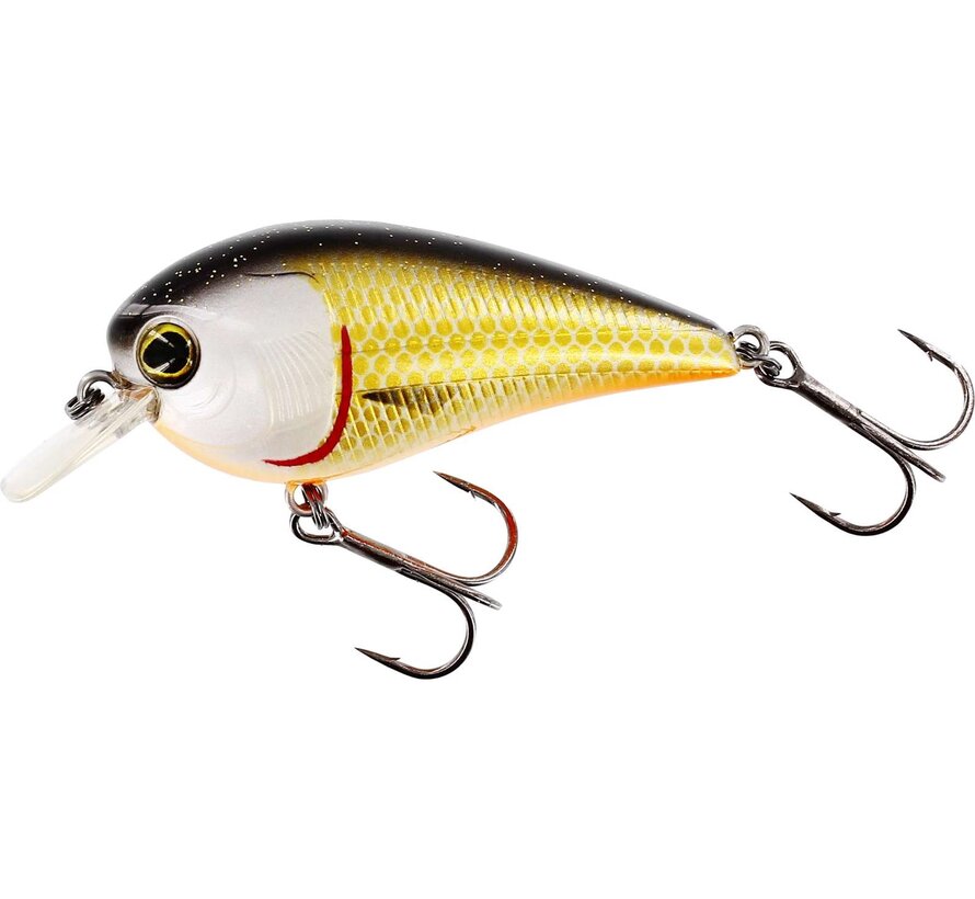 Bassbite 2.5 Squarebill 7CM 16G Floating 2 3/4" 9/16OZ