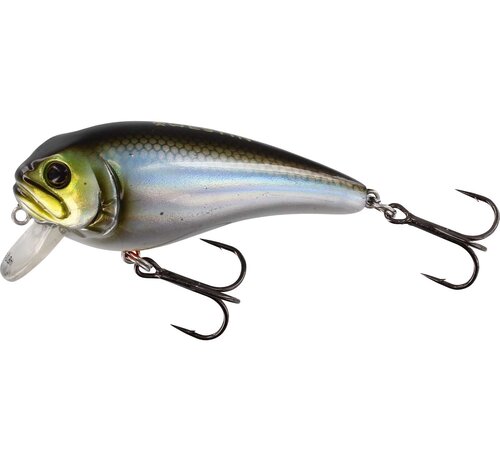 Westin Fatbite Crankbait 8CM 24G Floating 3" 7/8OZ