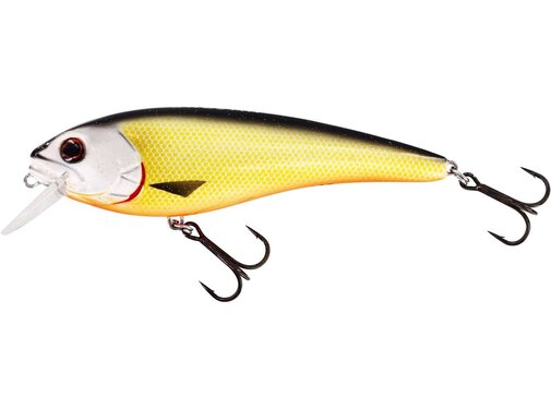 Westin Rawbite Crankbait 17CM 100G Low Floating 6 3/4" 3 1/2OZ