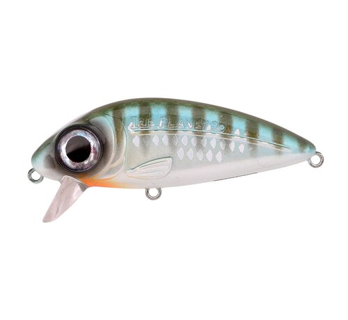 Spro Iris Flanky Hardlure 9CM 22G