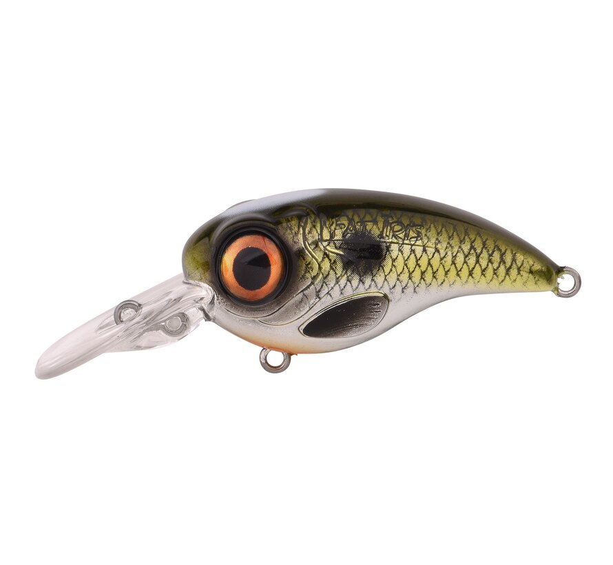 Fat Iris 80CR Hardlure 8CM 40G
