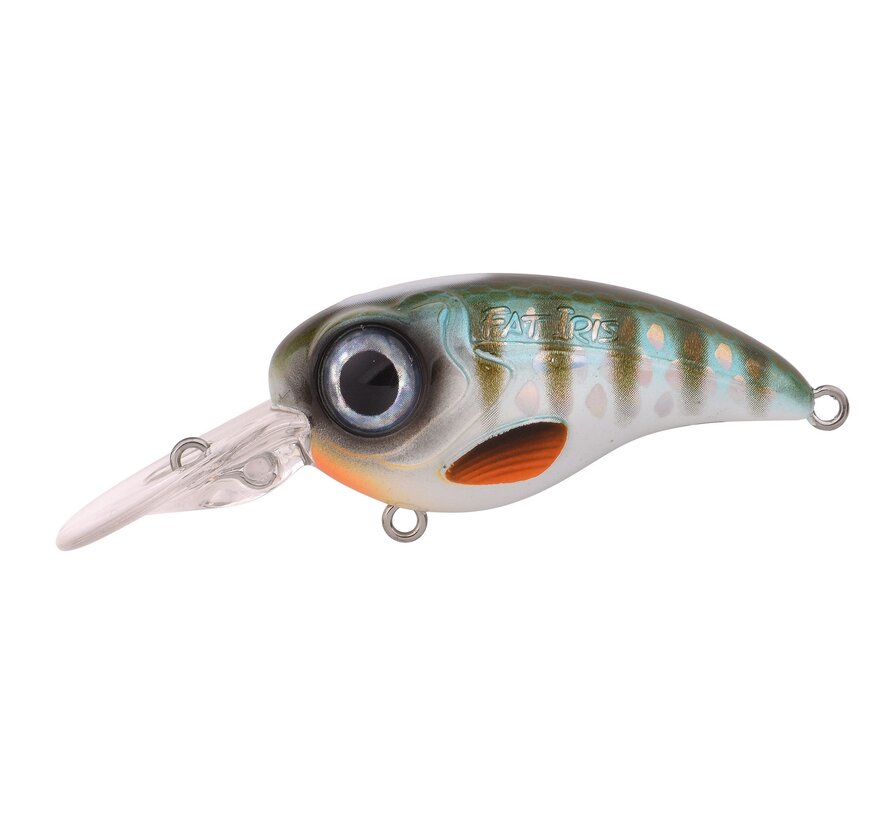 Fat Iris 80CR Hardlure 8CM 40G