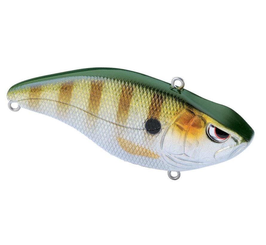 Aruku Shad 65