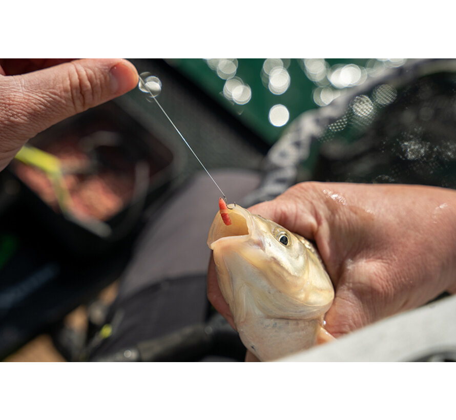 Super Soft Bait Bands