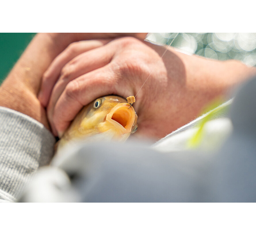 Super Soft Bait Bands