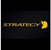 Strategy