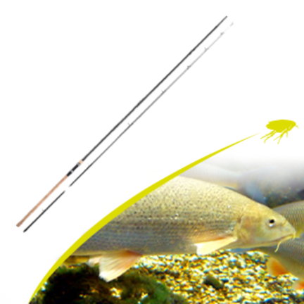 Barbel Rods