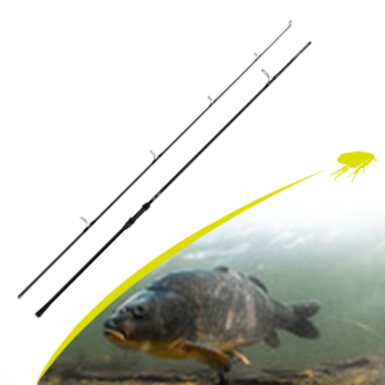 Carp Rods