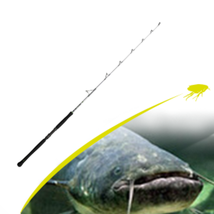 Catfish Rods