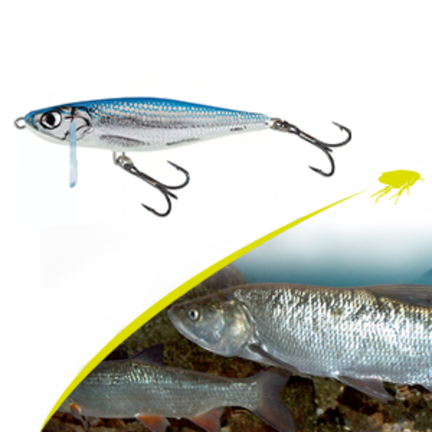 Asp Lures