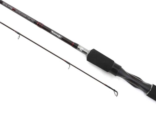 Rozemeijer Qualifier V2 Jointed Zander Float 270 5-20g