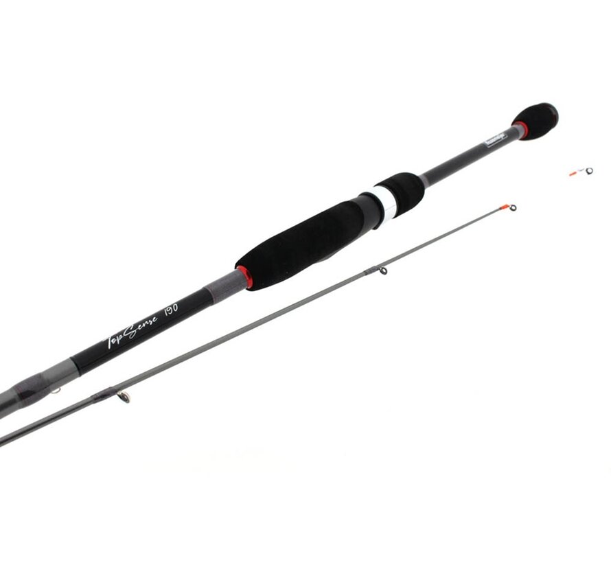 TopSense 190 2-10g 2pcs
