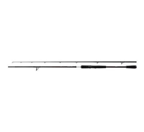 Shimano Yasei BB Spinning 2.20m 20-60g