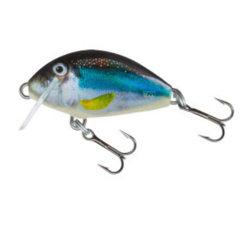 Salmo Tiny 3cm Floating