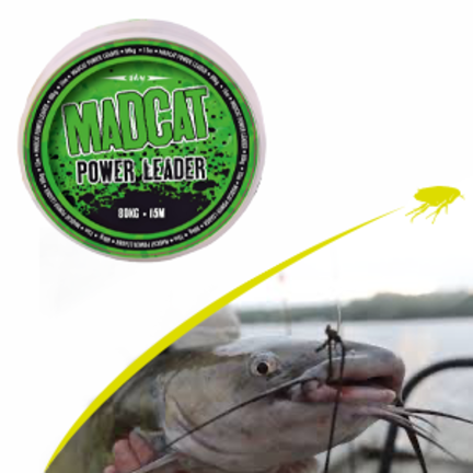 Catfish leaders