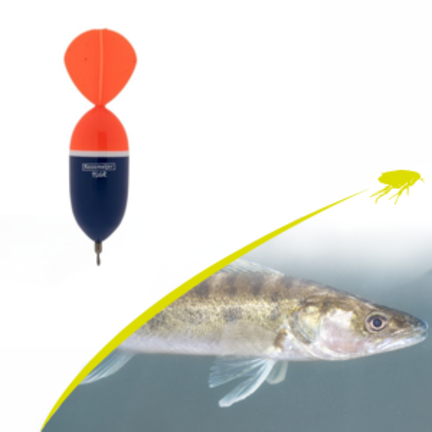 Snoekbaars dobber