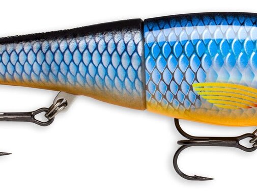 RAPALA X-Rap Peto XRPT14