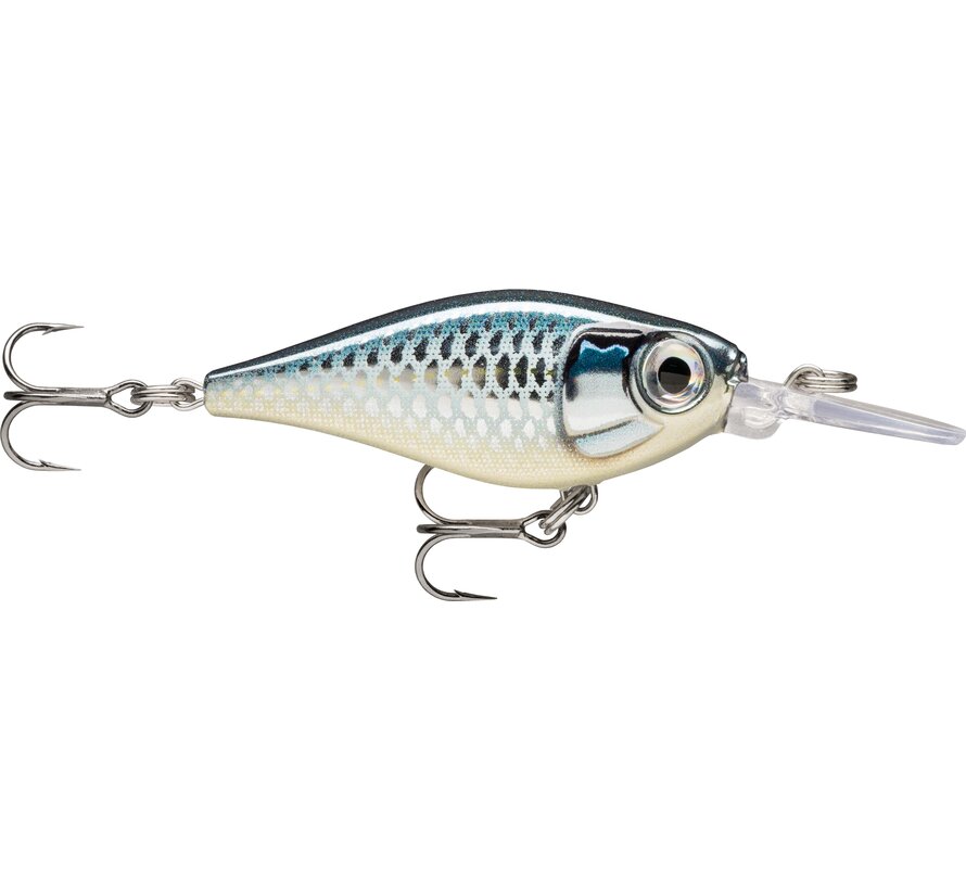 X-Light Shad 04