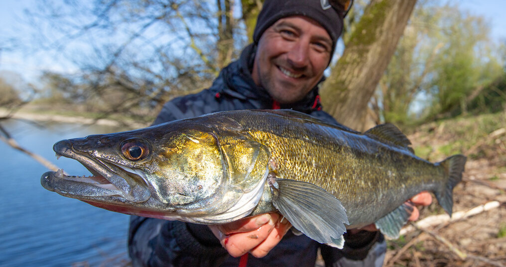 Snoekbaars op de rivier: voorjaars tactieken