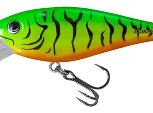 Salmo Rattlin’ Executor SDR 5cm