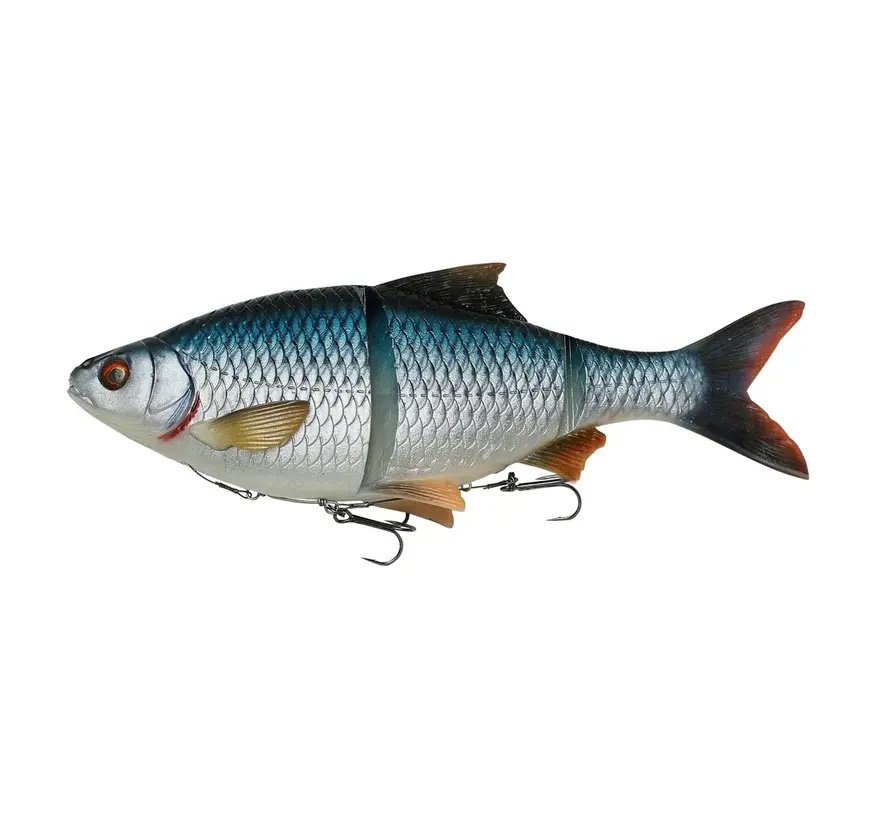 4D LT Roach 18CM 80G SS