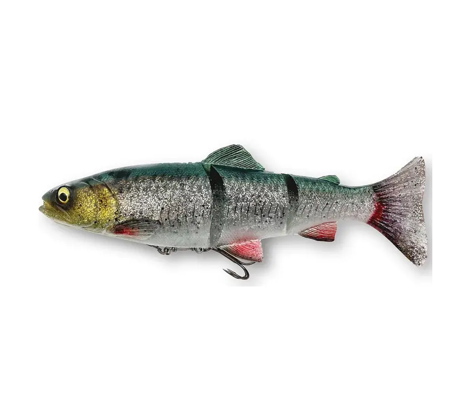 4D LT Trout 20CM 93G SS