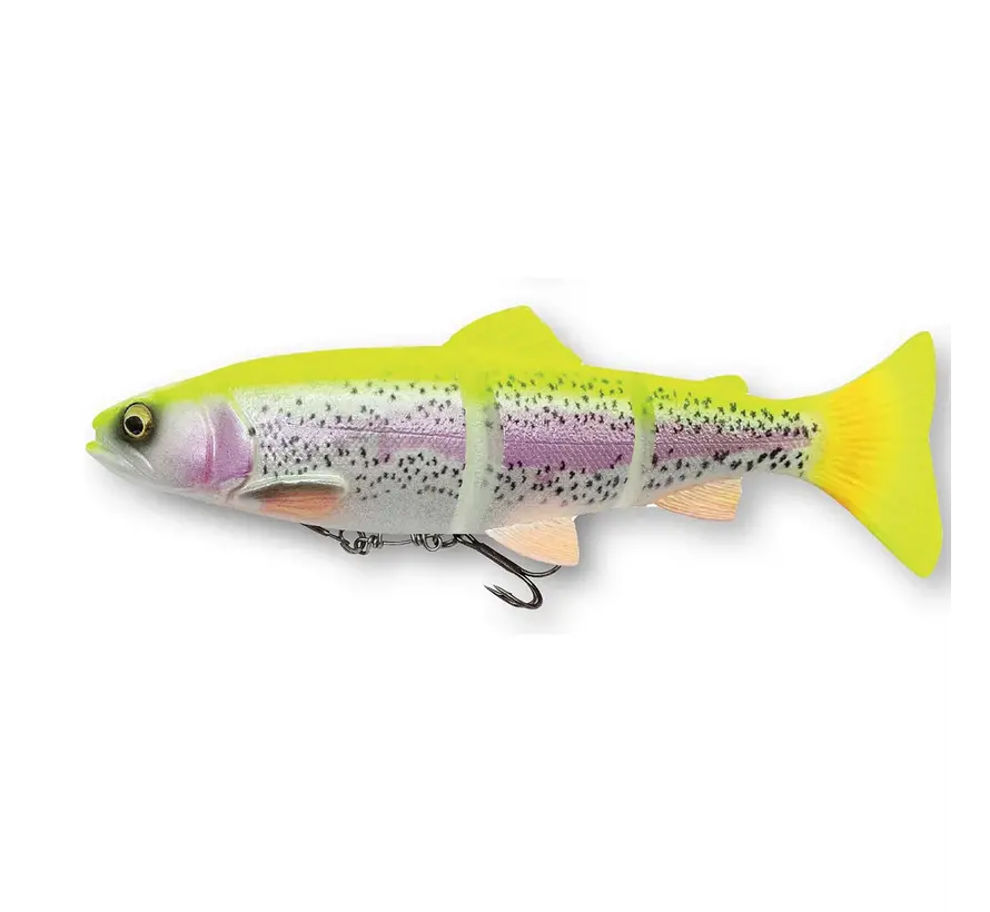 4D LT Trout 20CM 93G SS