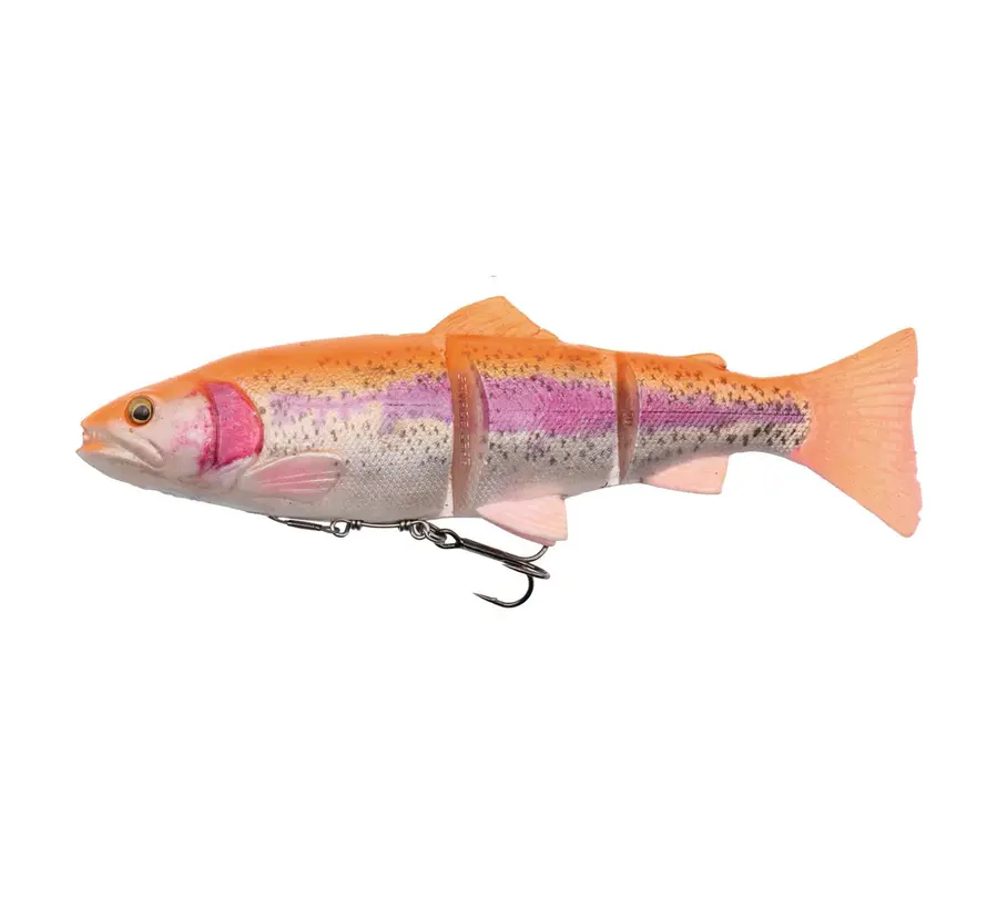 4D LT Trout 20CM 93G SS