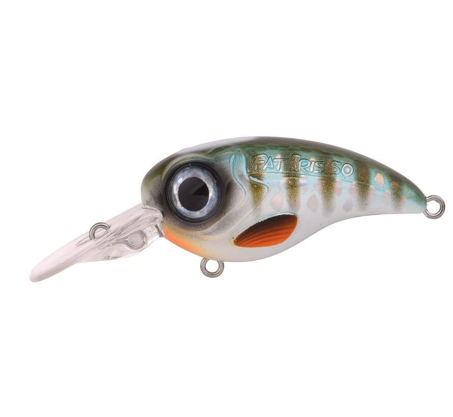 Fat Iris 50 Crank 5cm