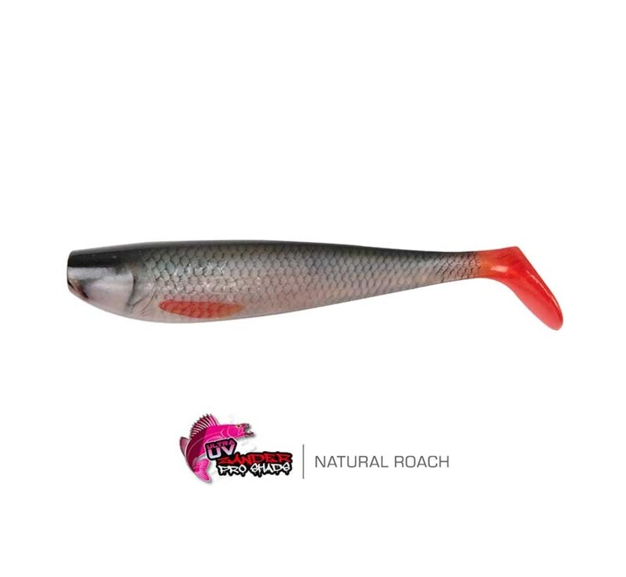 Zander Pro Shad 14cm