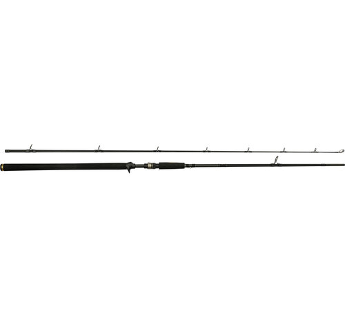 Westin W3 Powercast-T 2Nd 7'9" 233 cm  2 sec 3XH 60-150 g