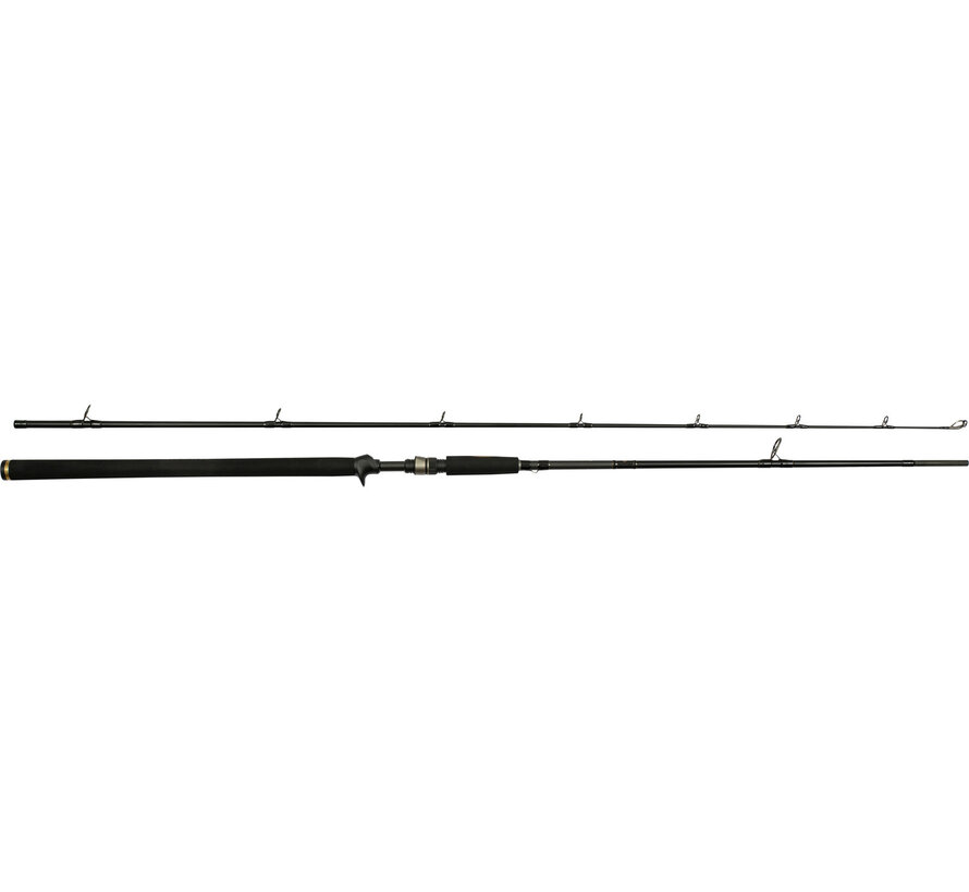 W3 Powercast-T 2Nd 7'9" 233 cm  2 sec 3XH 60-150 g