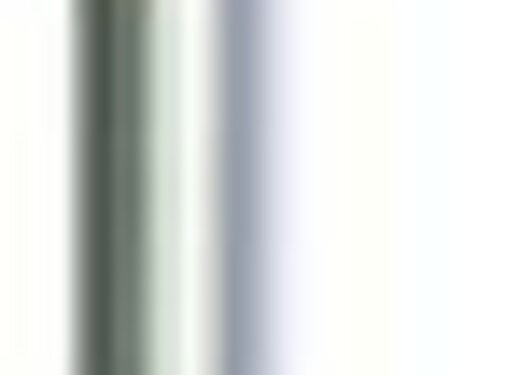 Zebco Back Stick Stainless Steel 45-75cm