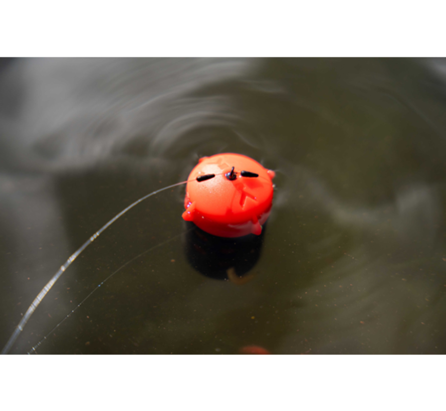 Floating Feeder