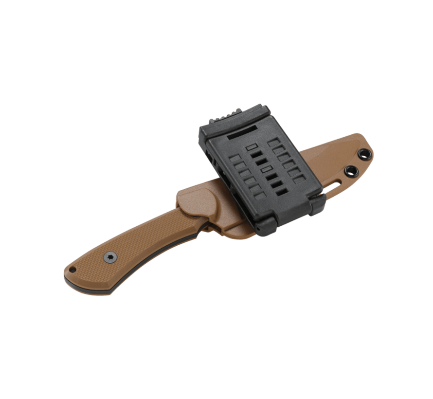 Ramadi - Coyote Brown