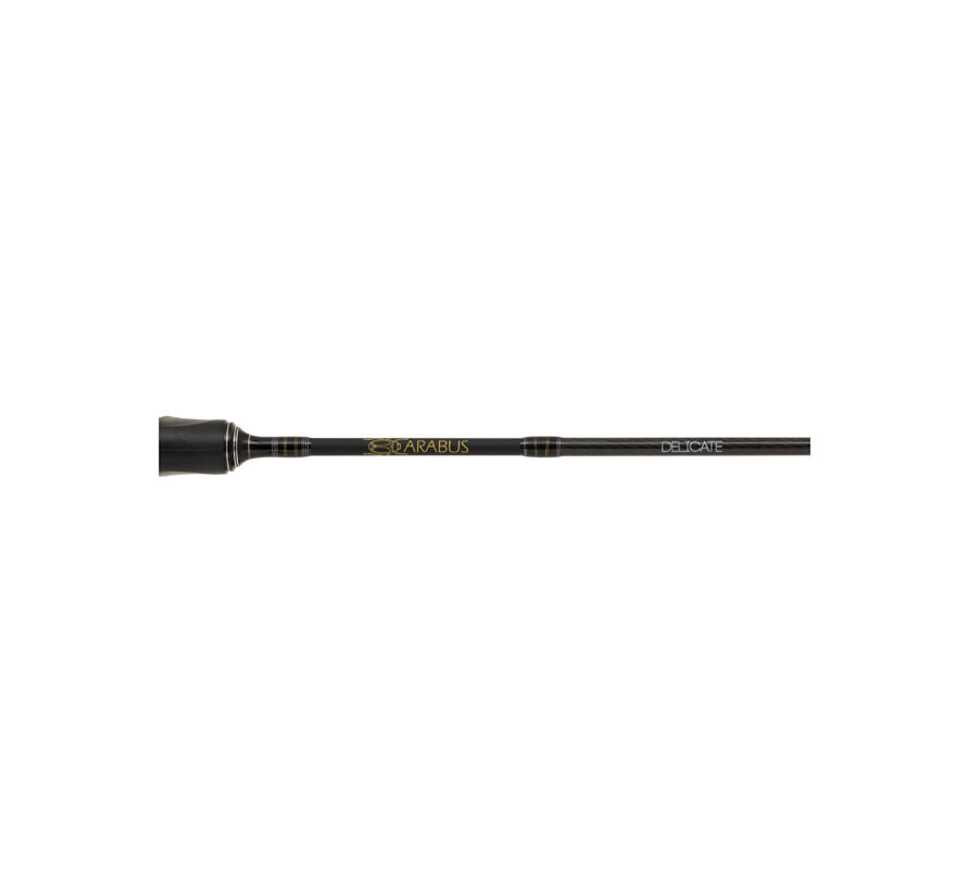 Carabus Delicate 602UL