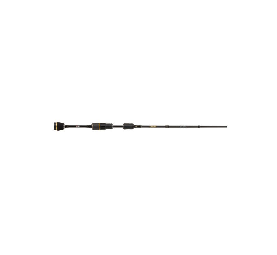 Carabus Delicate 602UL